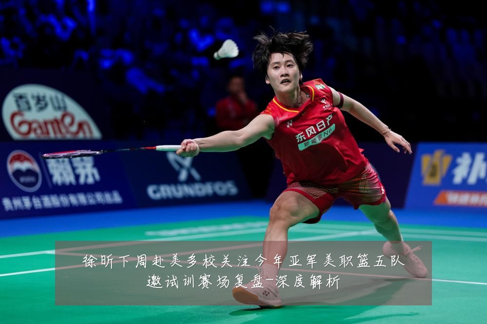 徐昕下周赴美多校关注今年亚军美职篮五队邀试训赛场复盘-深度解析